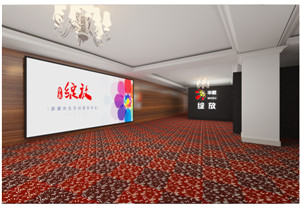华数传媒